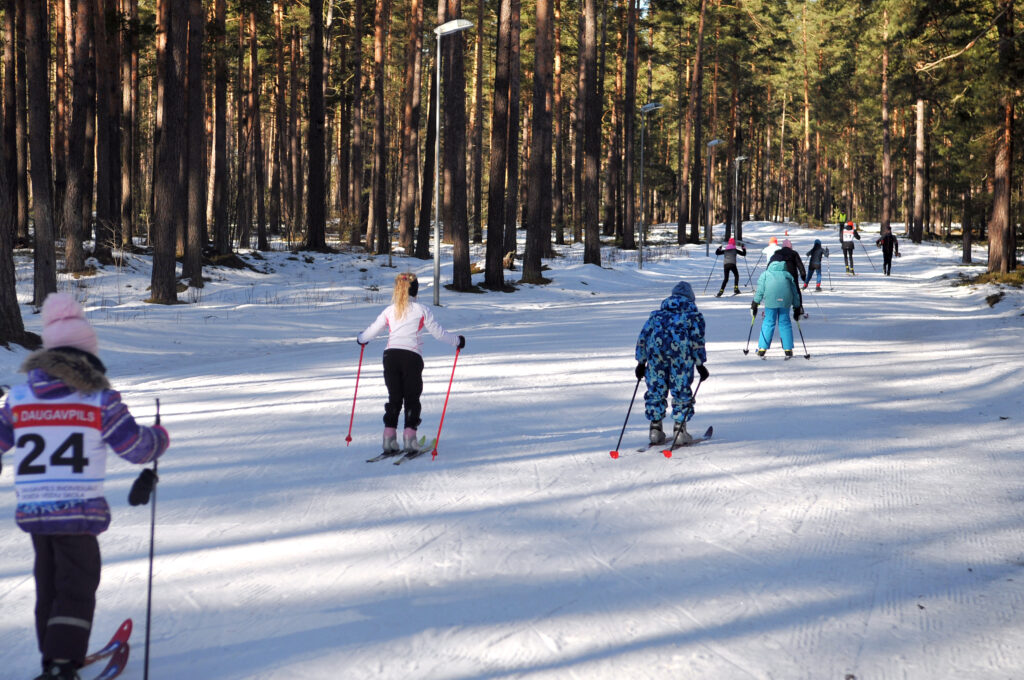 Children skiing on a snowy trail surrounded by tall pine trees, enjoying a winter day outdoors. Children skiing on a snowy trail surrounded by tall pine trees, enjoying a winter day outdoors.