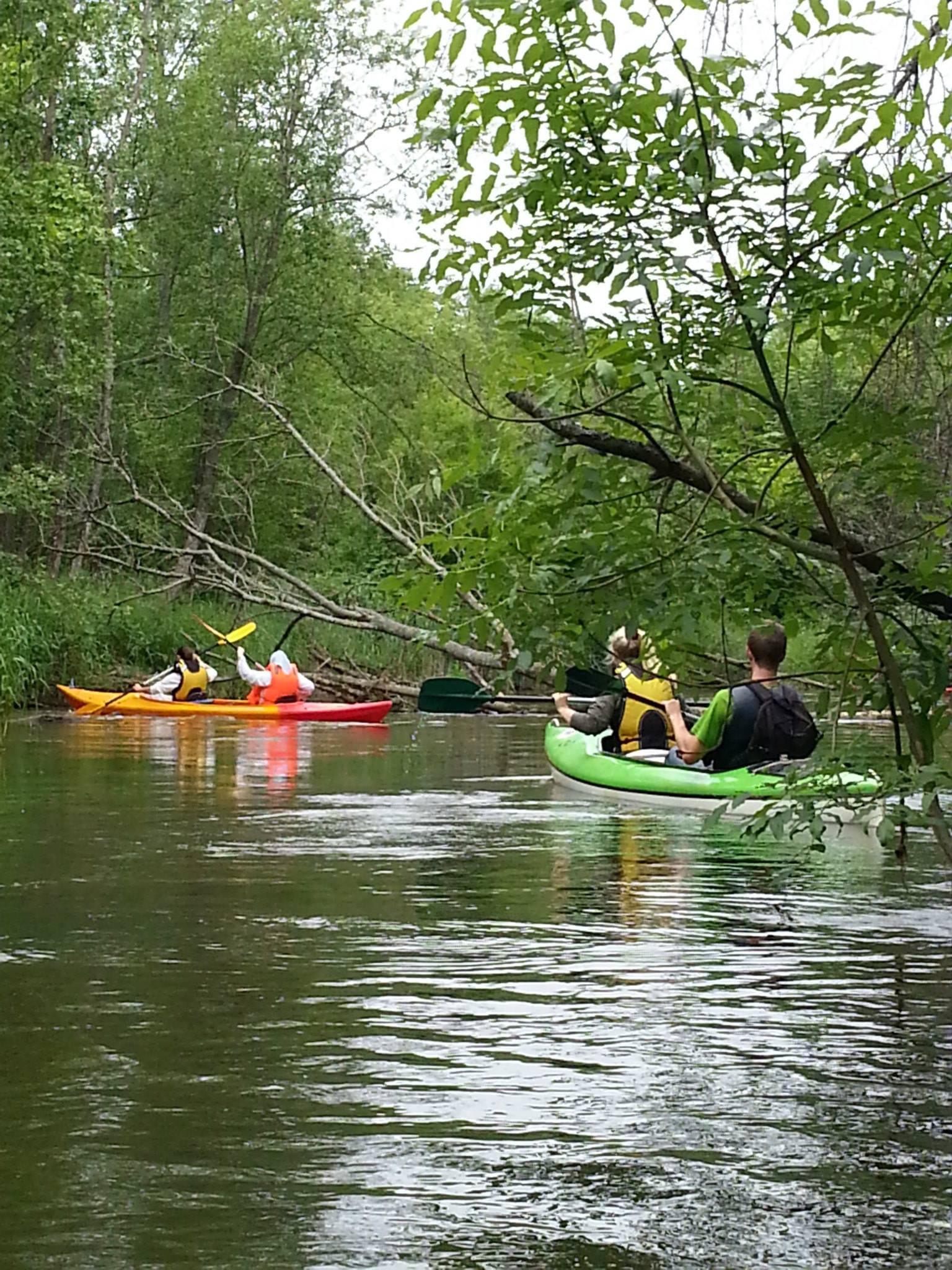 Group of kayakers paddling on a calm river surrounded by lush greenery, enjoying a recreational outdoor adventure.