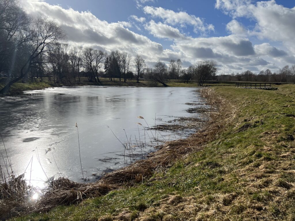 Scenic view of a calm pond surrounded by grassy banks and trees under a partly cloudy sky, capturing the tranquility of nature. Scenic view of a calm pond surrounded by grassy banks and trees under a partly cloudy sky, capturing the tranquility of nature.