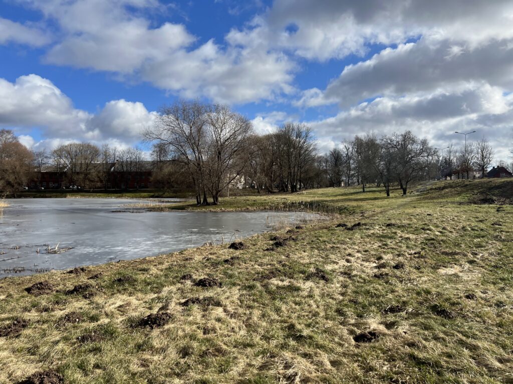 Scenic view of a tranquil lake surrounded by grassy banks and bare trees under a partly cloudy sky. Scenic view of a tranquil lake surrounded by grassy banks and bare trees under a partly cloudy sky.