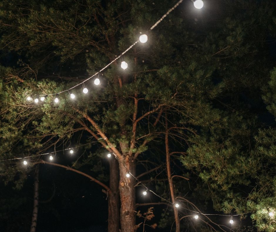 String lights illuminate trees at night, creating a warm and inviting outdoor atmosphere. String lights illuminate trees at night, creating a warm and inviting outdoor atmosphere.